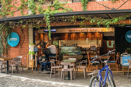 conozca-vida-noctura-arte-local