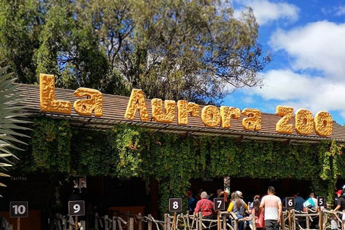 exploracion-aire-libre